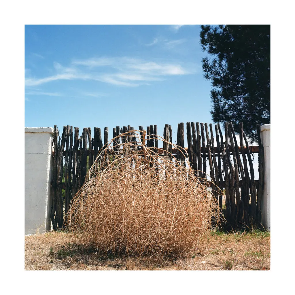 Tumble, Littlefield, Texas, Jill Johnson, 2022, Chromogenic color print, 50 x 50” 