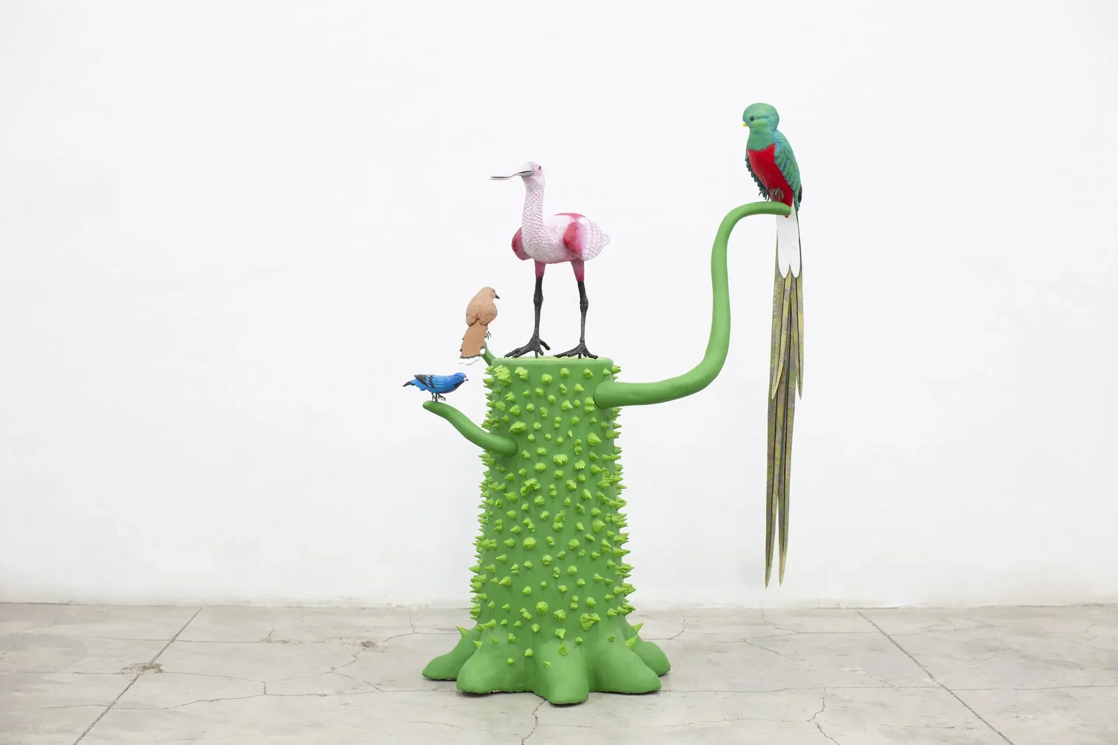 eduardo sarabia: this must be the place