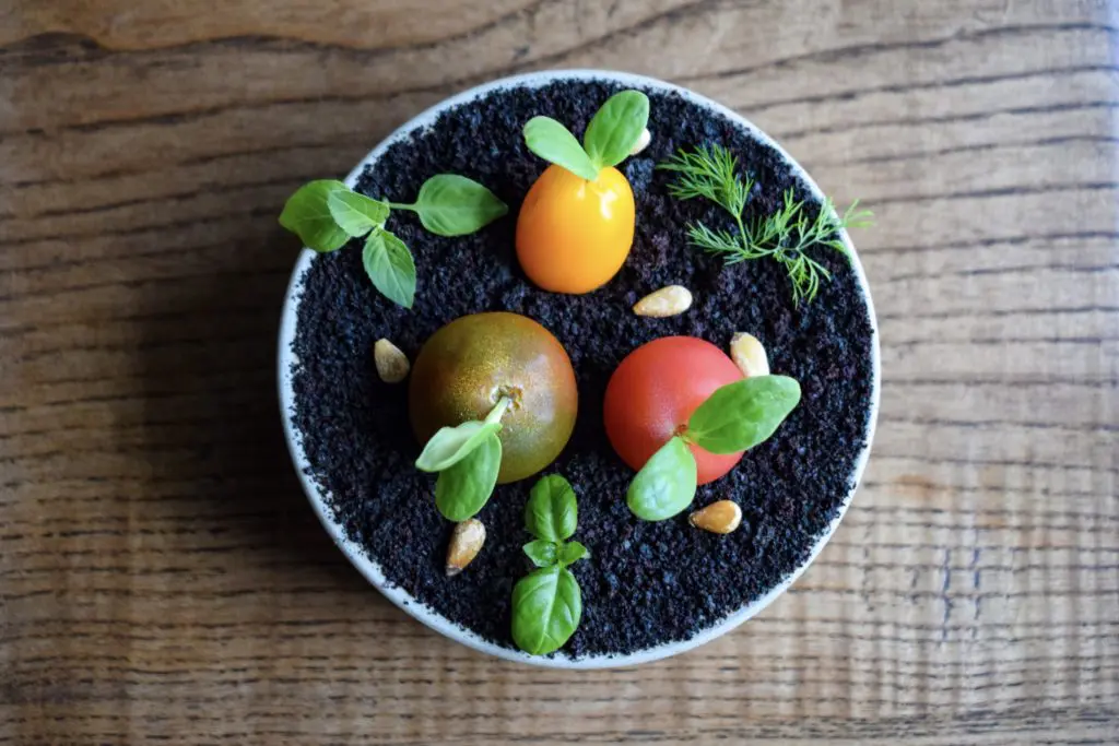 The cool tomato garden ($10) built on a rich but delectable black garlic and cheese foam topped with crunchy squid ink “soil” with tiny heirloom tomatoes bobbing up from beneath. Photo by Sabrina Miskelly.
