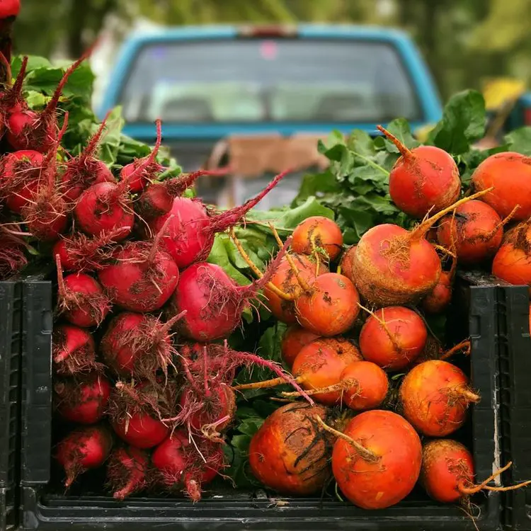 The  Woodlands Farmers Market at Grogan’s Mill is a community staple.(Photo by Georgie Miller )