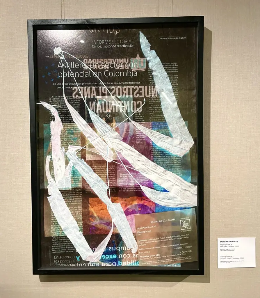 Skeletal leaves and contemporary newspaper headlines clash in Our Plans Continue by Dornith Doherty. (Photo by Courtney Dabney)