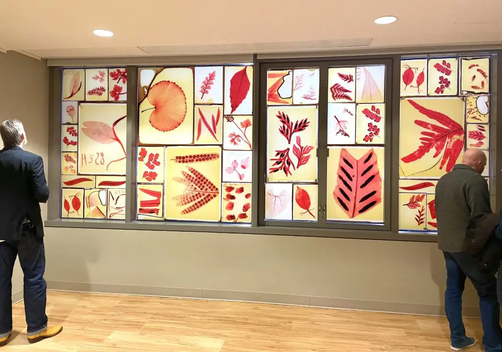 The stained transparency slides of the Howard Arnott Collection take on new meaning in Illuminations. (Photo by Courtney Dabney)