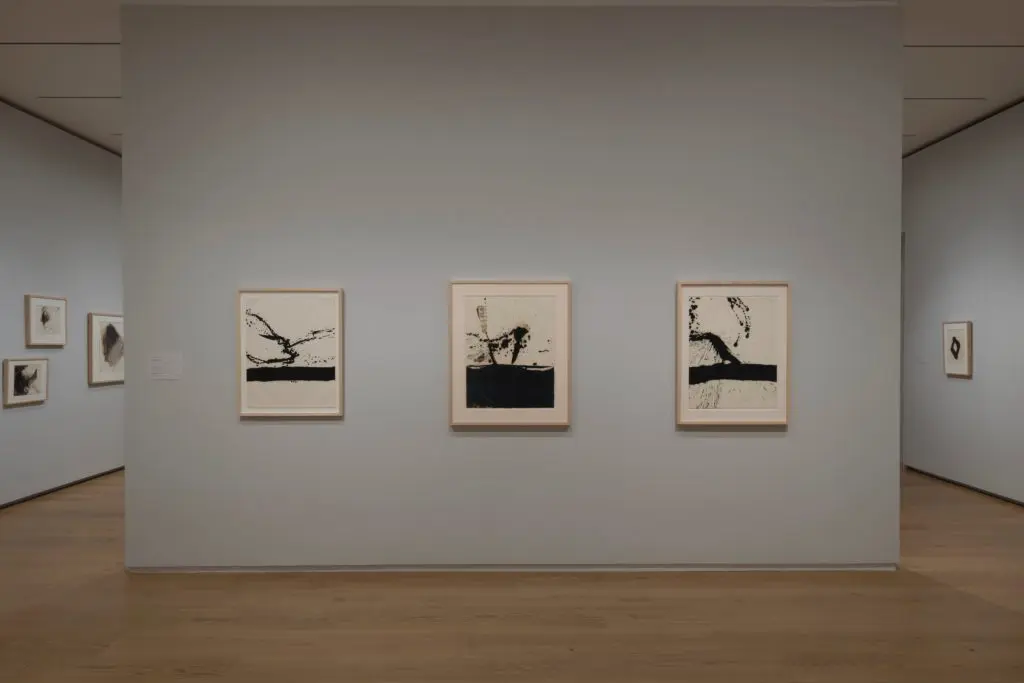 Gallery View of Robert Motherwell Drawing: As Fast as the Mind Itself at Menil Drawing Institute. 
