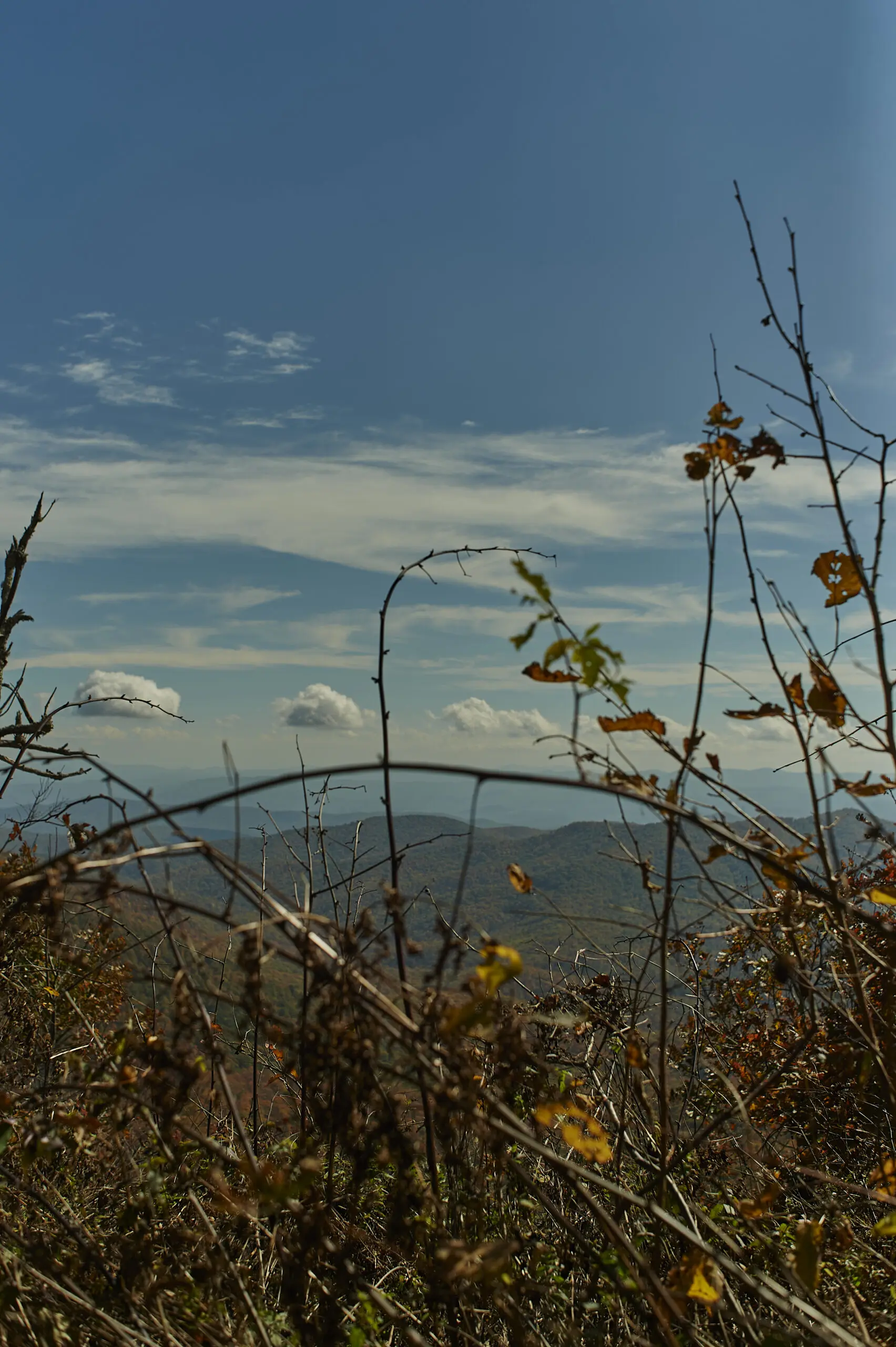 Gem Hale's "Appalachian Trail," 2019 