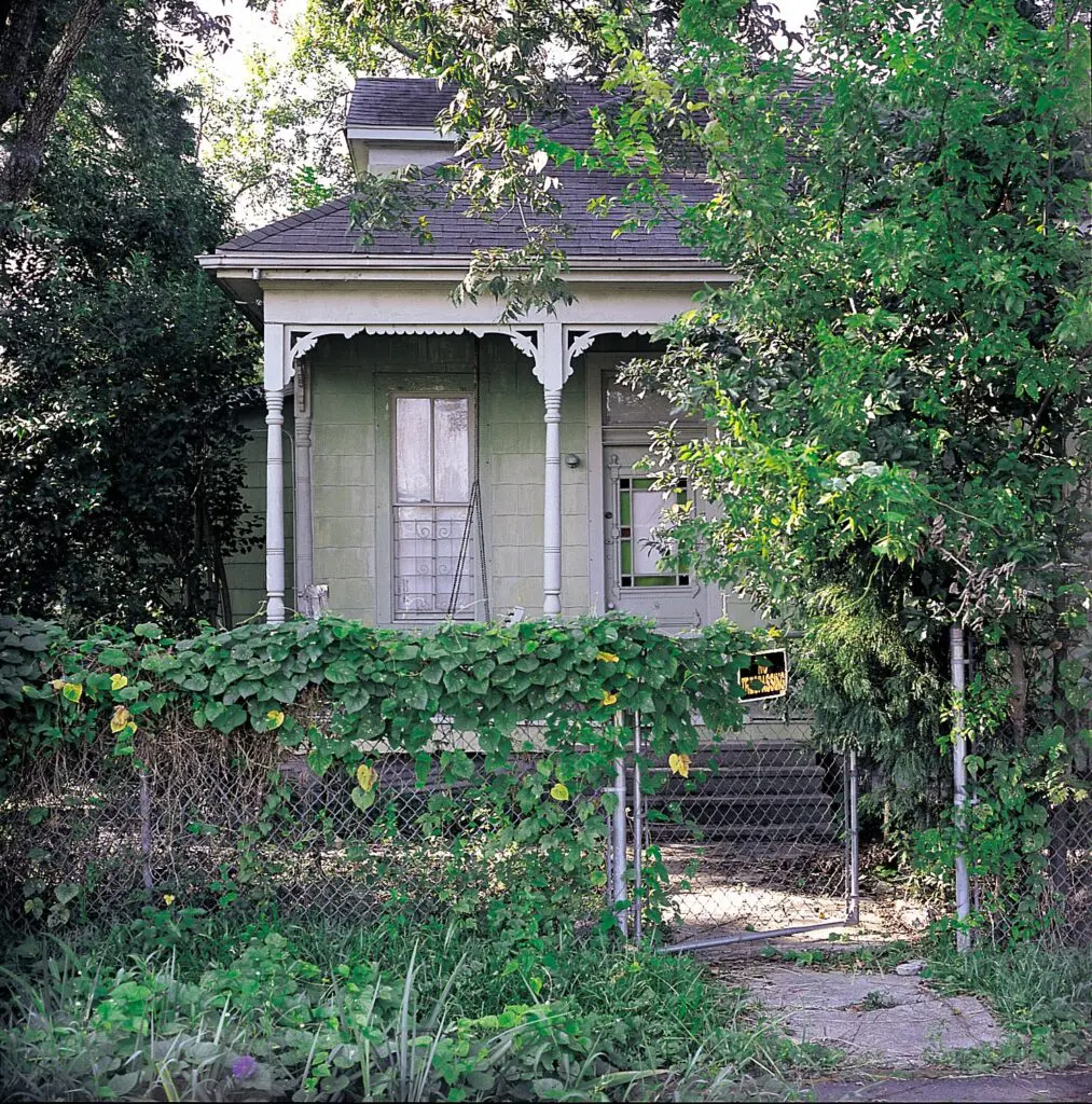 A Little Nest (Photo by Hickey-Robinson)