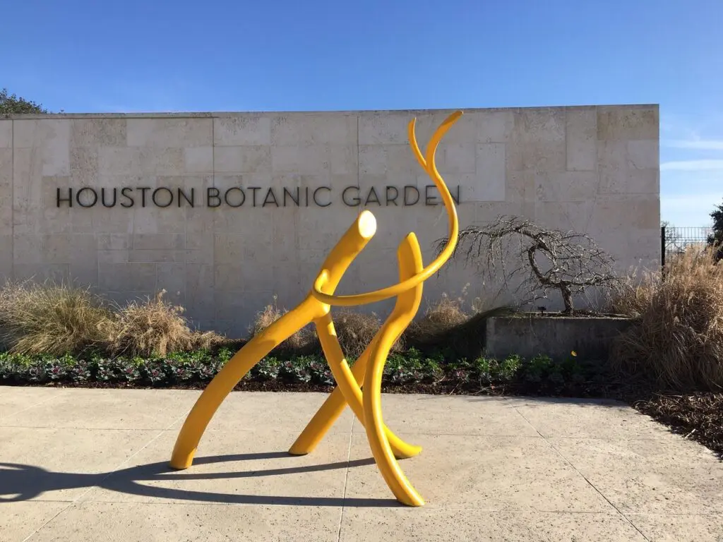 スタンピンアップ　スタンプ&ダイの3セット　【ROOTET IN NATURE】 Houston Botanic Garden Transformed By Giant Playful Sculptures