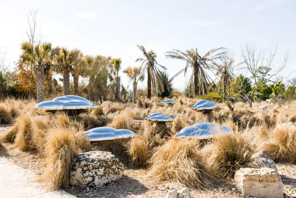 "Head in the Clouds" at Houston Botanic Garden (Photo by Hung Truong)