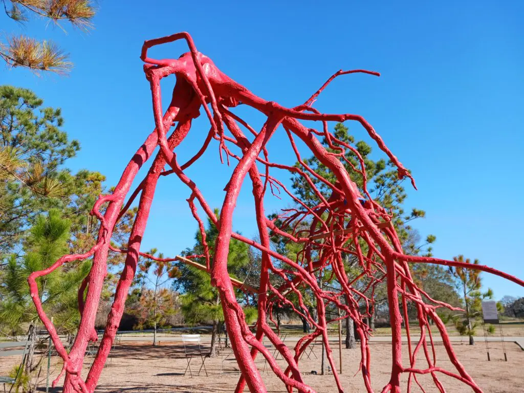 "Romeo & Juliet" creates a striking scene at Houston Botanic Garden (Photo by Justin Lacey)