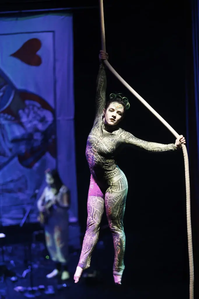 Aerial acrobatics in Starry Night Productions performance at Stages Gala at The Gordy (Photo by Quy Tran)