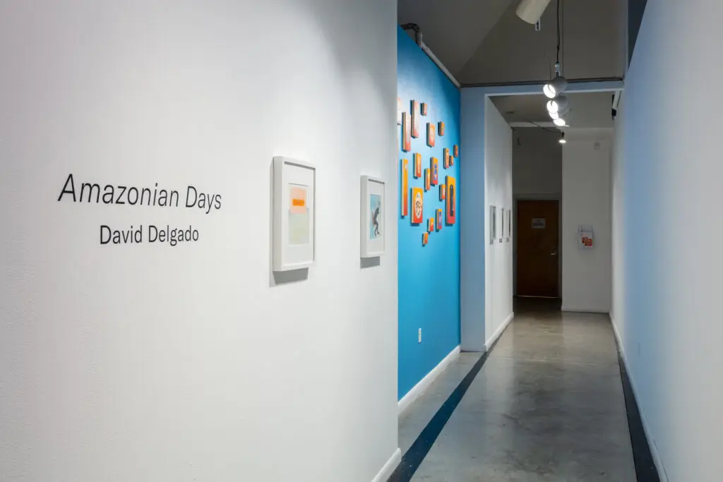 "Amazonian Days" by David Delgado at Art League Houston (Photo by Alex Barber, Courtesy of Art League Houston)