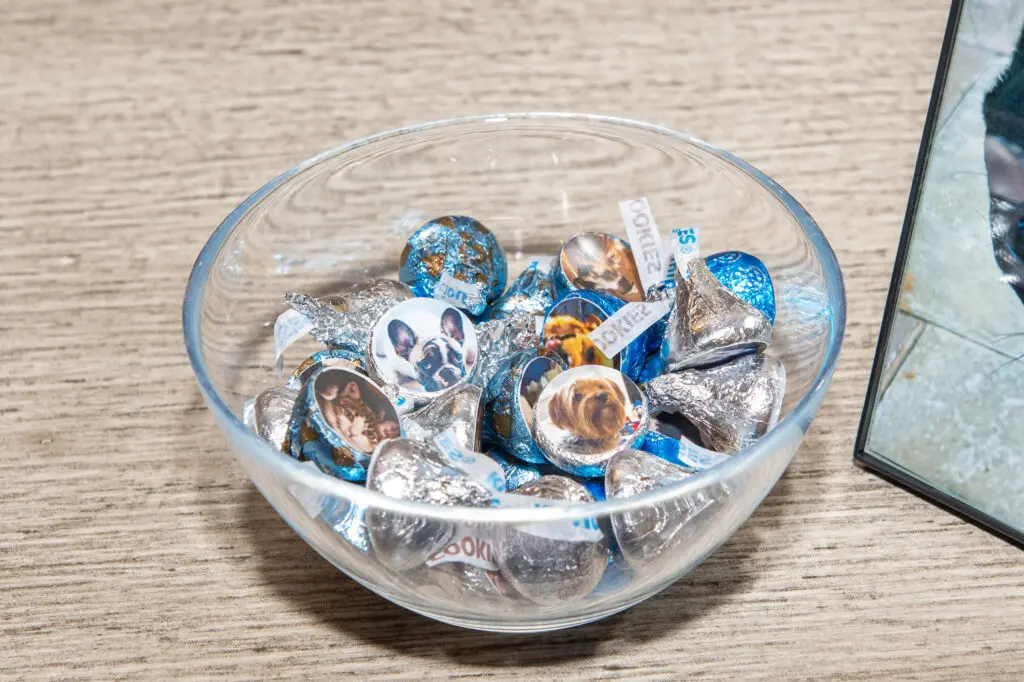 Hershey's Kisses with pet images at the Citizens for Animal Protection launch party (Photo by Jacob Power)