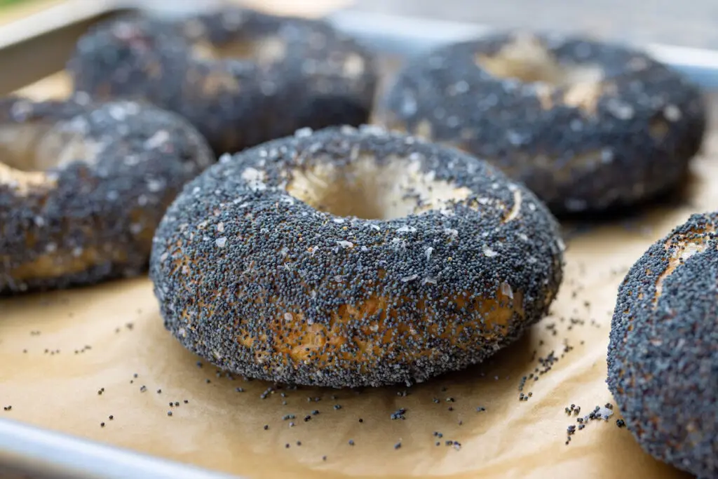 Prepare for some lines at buzzy new bagel shop Layla Bagels. 