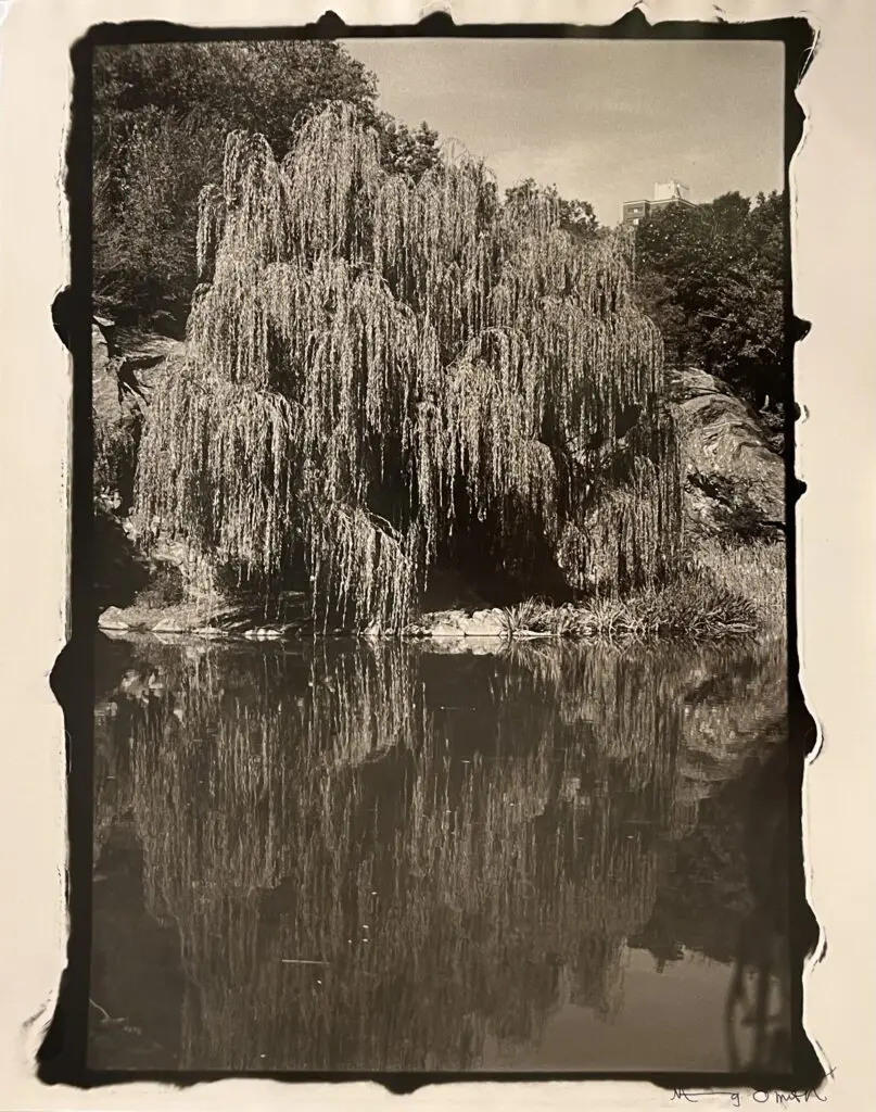 Ming Smith's "Morning Side Park, New York (Harlem)," 1999. (Courtesy Barbara Davis Gallery)