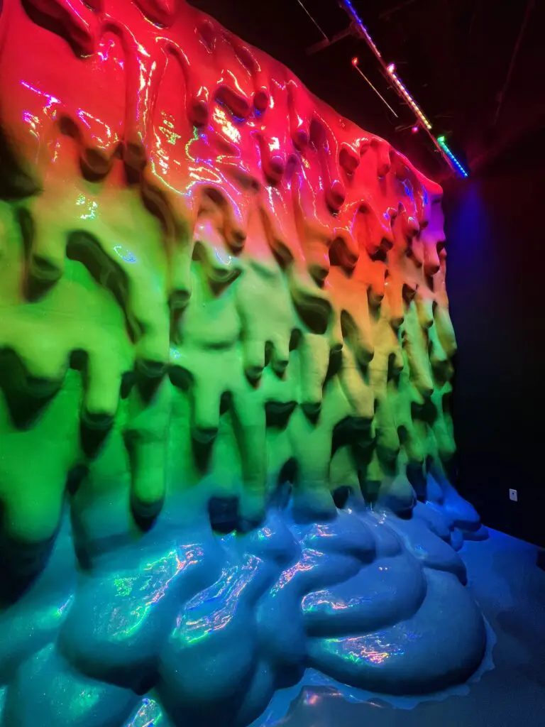 One of local artist Dan Lam's largest pieces to date is located at Meow Wolf Grapevine. (Photo by Megan Ziots)