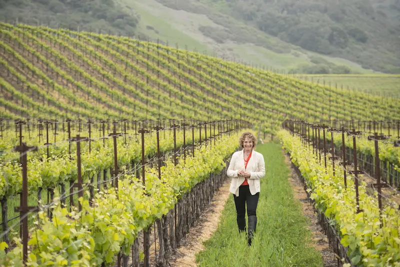 Kathy Joseph knows her place among vines.