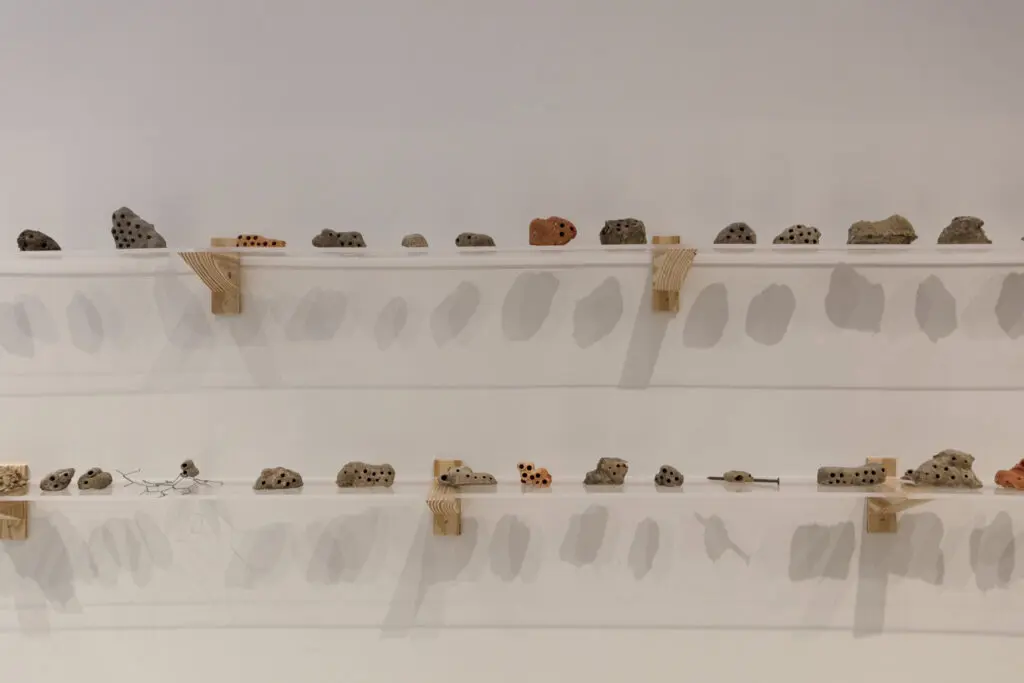 Close up of mud dauber nests in Patrick Renner's "Once & Future Architecture" Exhibition at the Architecture Center Houston  (Photo by Emily Peacock)