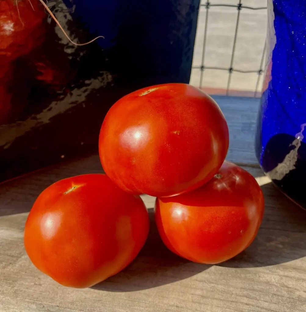 Ben Wheeler tomatoes by Sugar Acres Fruit Stand at Farmers Market of Grapevine.