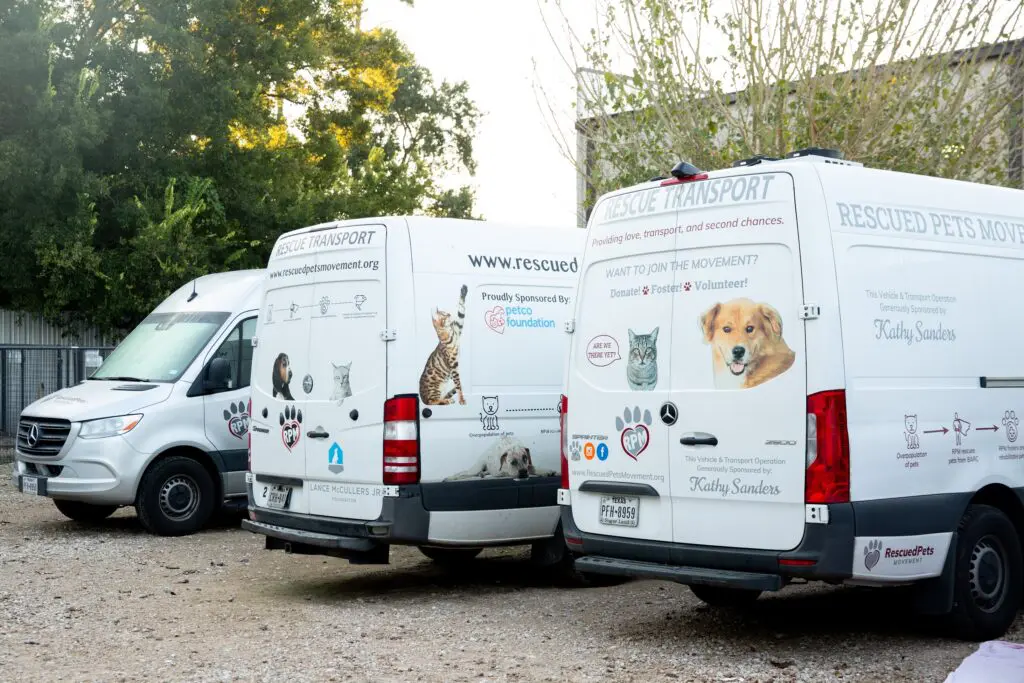 A decade ago, RPM’s founders created an innovative transport model to rescue homeless animals and rehabilitate them with volunteer Houston foster families before they board their own specially equipped motorbuses to take them to states like Colorado and Utah where they eventually will find their future “fur-ever” families. (Photo by Paige Beitler)