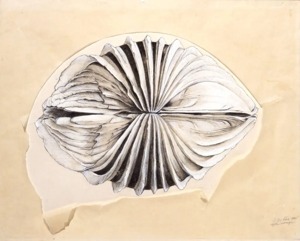 Jay DeFeo's "After Image," 1970 (Photo by Paul Hester. © The Jay DeFeo Foundation / Artists Rights Society (ARS), New York.)