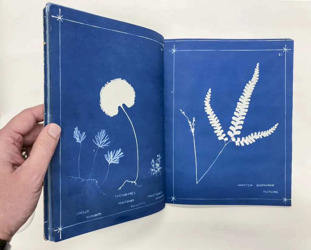 Herbert Dobbie and Elizabeth Haigh. New Zealand Ferns: 148 Varieties. Auckland New Zealand: Herbert Dobbie, 1880 - presented in The Photobook: It's History and Highlights, led by Jon Evans