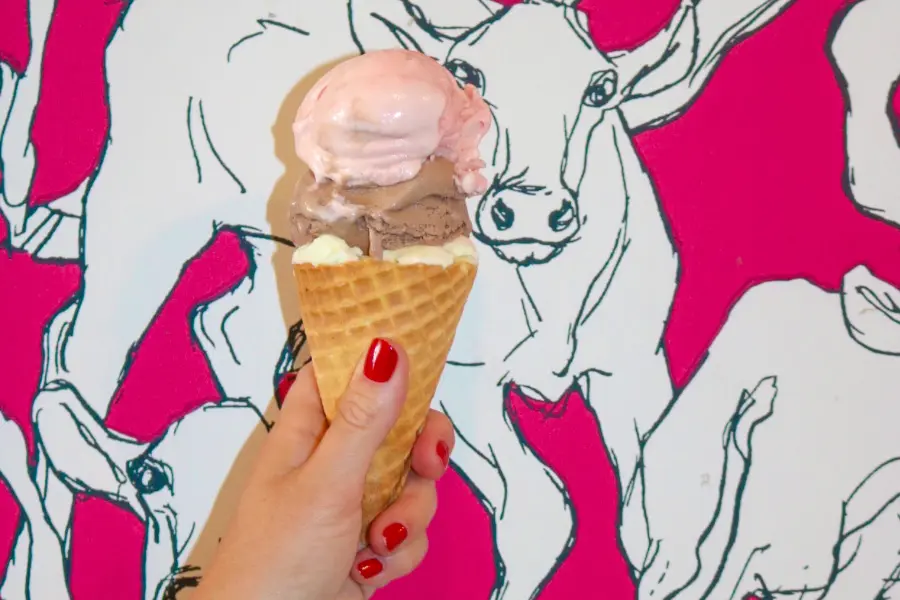 The clever collaboration highlights some of the chef-driven flavors Marques has devised over the years like Oaxaca hot chocolate and balsamic strawberry, tastes which have prompted Southern Living Magazine to declare Craft Creamery one of the top eight ice cream parlors in the South. Photo by Addison Hall.
