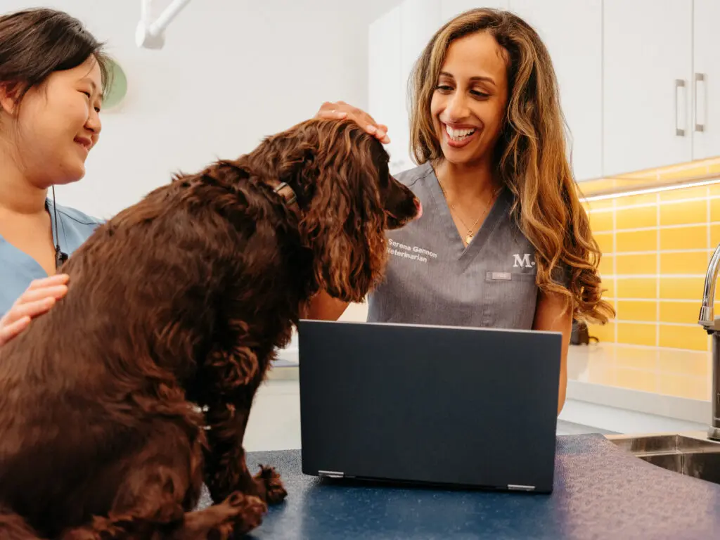 With Modern Animal’s 24/7 virtual care, you can say goodbye to midnight Googling when your pet  eats something they shouldn't.