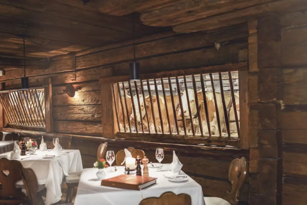 The fully functioning farm at Stanglwirt is on view with a large window overlooking the cow stall for diners to enjoy. 
