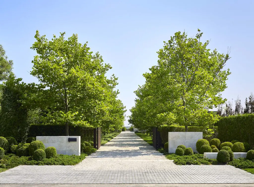 The entry to a compound in Sagaponack, designed by Sawyer | Berson, is framed by Jerusalem limestone piers and inter-planted with clipped boxwood atop a field of shore juniper groundcover. London plane trees flank the crushed-gravel drive, providing a shaded allée beyond the double gates with a view to Sagg Pond. (Photo by Joshua McHugh) 