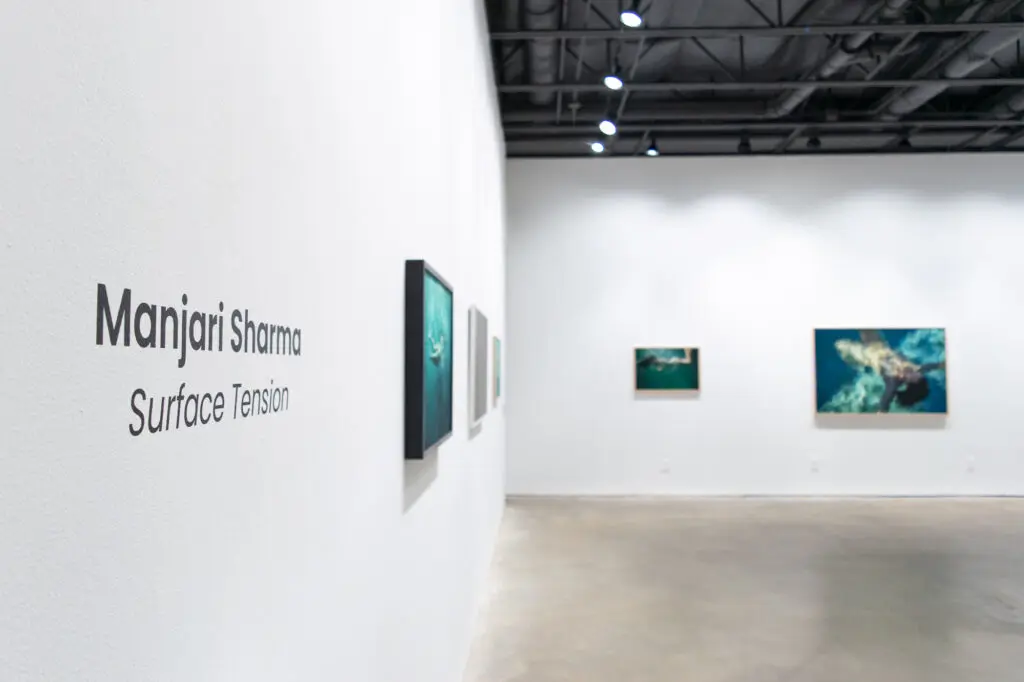 Manjari Sharma's exhibition "Surface Tension" is on view at Assembly Gallery through November 4. 