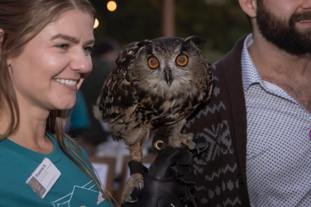 An owl at the 2023 Zoo To Do. (Photo by Thomas Garza and Rob Wythe/Wythe Portrait Studio)