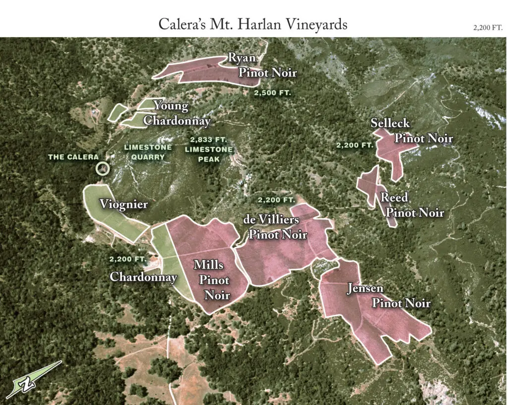 A rich area of land.