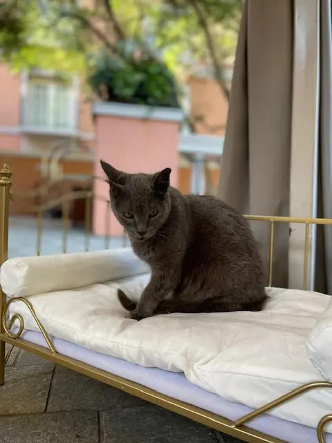 Duncan at his post by the valet stand. (photo courtesy) (Photo by Madi Hurley)