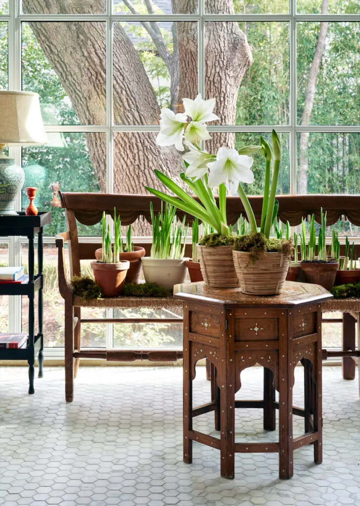 A 19th-century French bench and Moroccan table with potted paperwhites and amaryllis. (Photo by Pär Bengtsson)