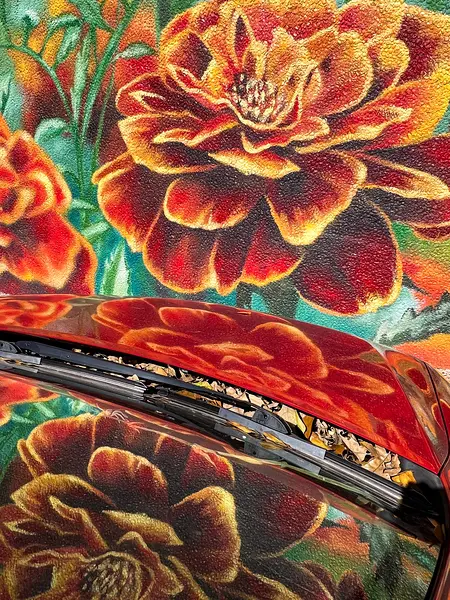 Marisa Heymach's "Flower Park," 2023 (Courtesy Marisa Heymach) 