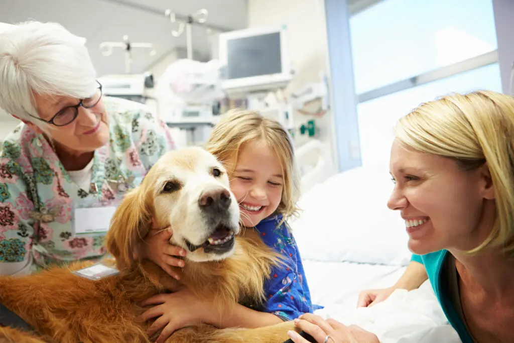 Service pup, Canter, and her furry co-workers work with pediatric cancer patients in Dallas.