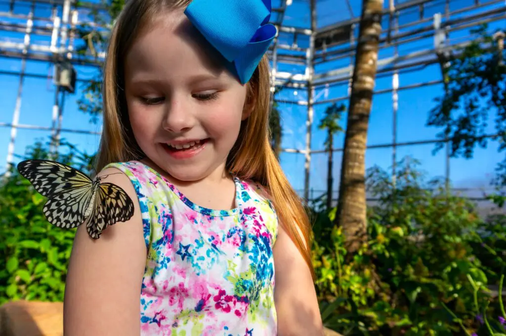 Spring into the FWBG for Butterflies in the Garden.