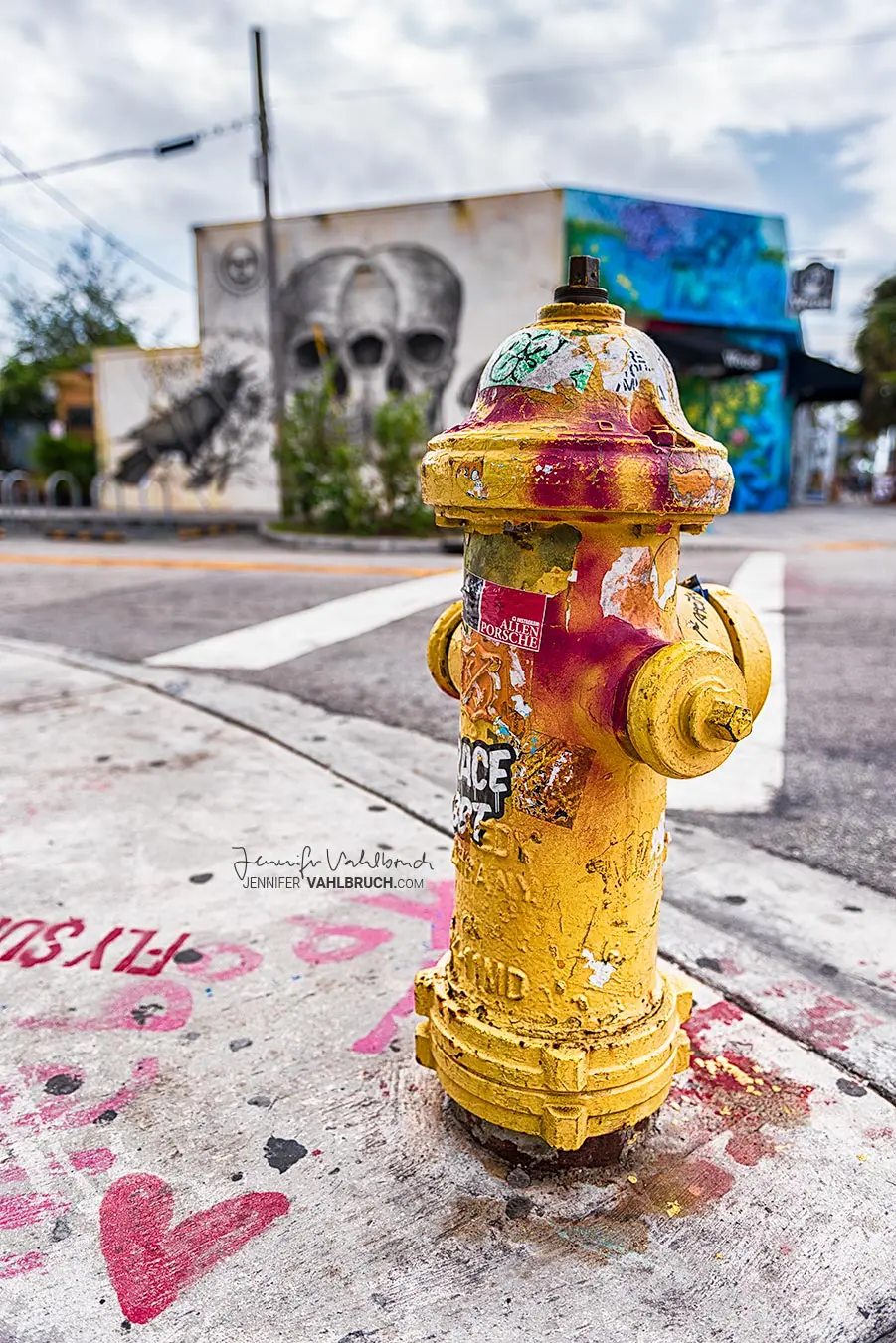 The first hydrant that Vahlbruch photographed - "In Between," which is in Miami.