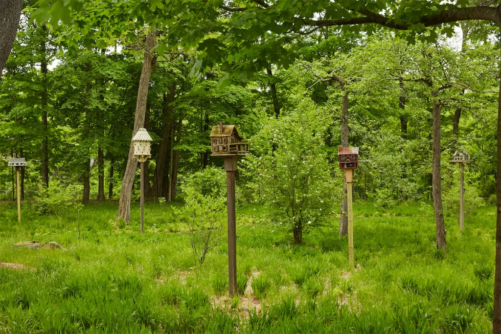 The birdhouse village in Bunny Williams' garden. (Photo by Annie Schlechter)