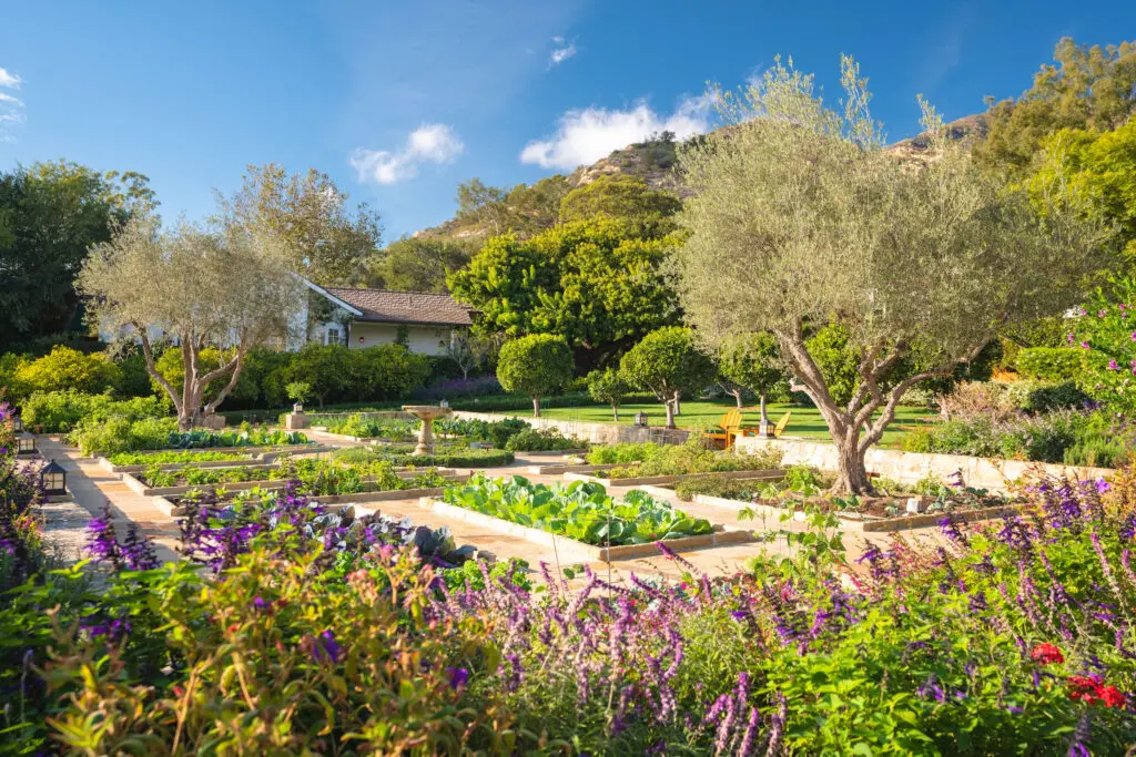 The Chef's Garden at San Ysidro Ranch is centrally located amidst the cottages to dazzle guests with delicious farm-to-table cuisine.