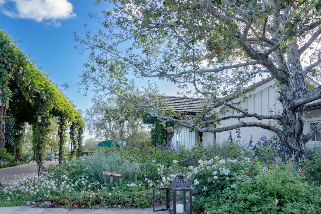 Each of the San Ysidro Ranch's 38 cottages is private and serene. 