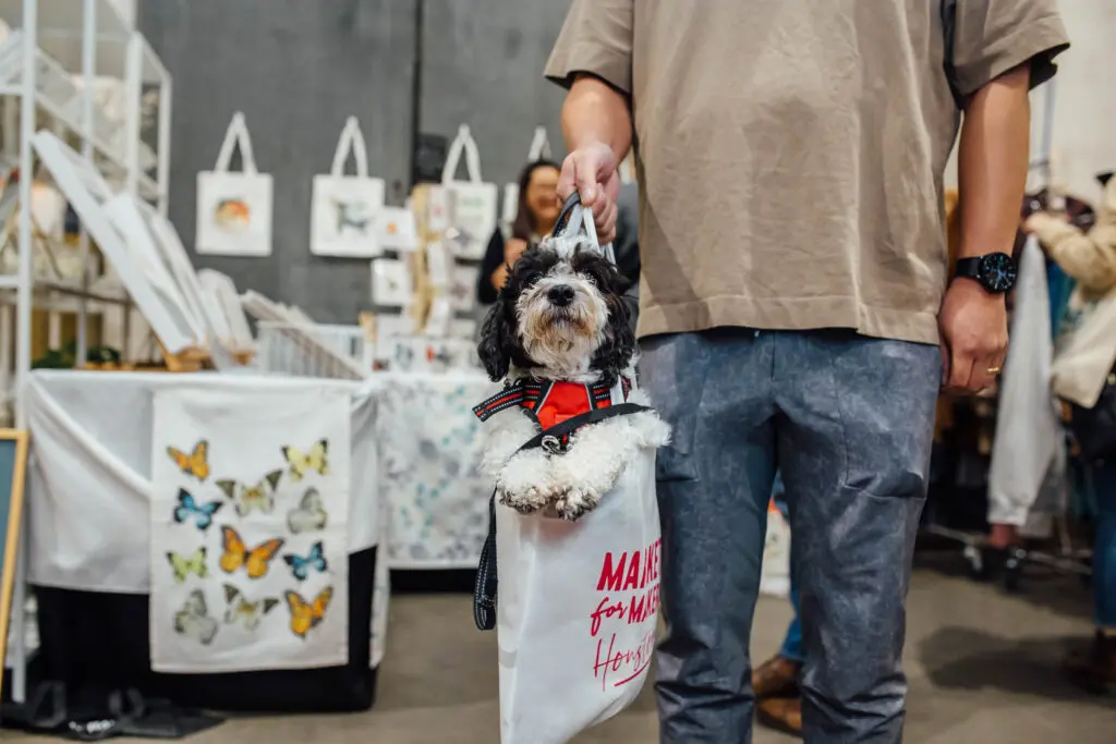 Pets welcome at Markets for Makers event (Photo by Cole LoCurto)