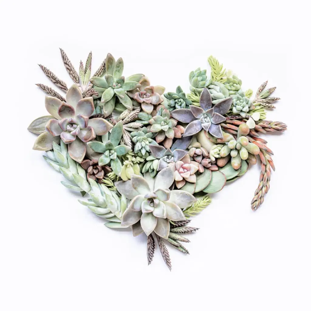"Life would SUCC without. you" will be hidden in The Woodlands for the Ardest Scavenger Hun. This piece is 20" x 20" and printed on metal. (Courtesy of Patti Gary)