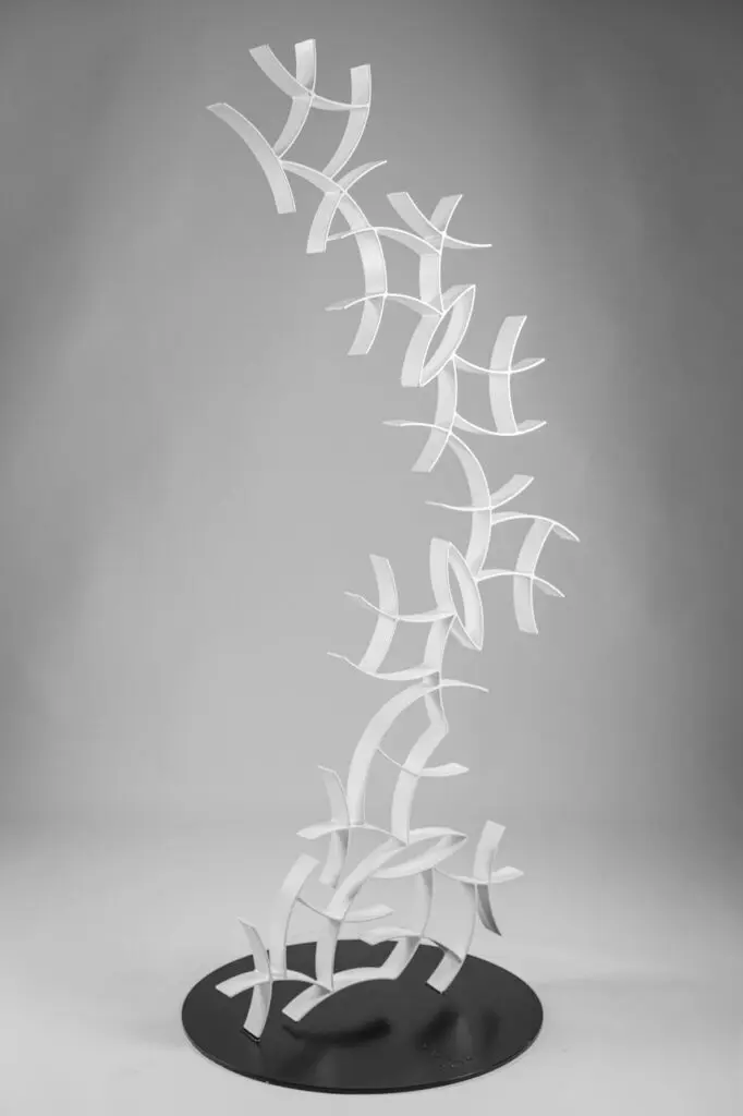 Morgan Robinson's "Curves," 2020 (Courtesy Morgan Robinson)
