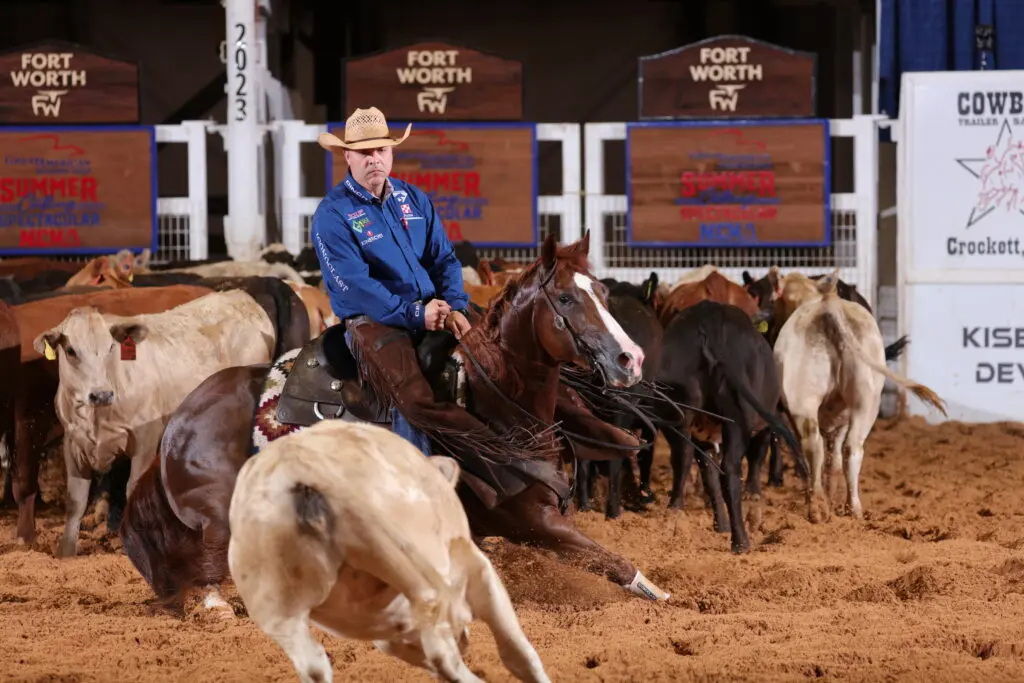 Horse and rider perform as one in last year's Summer Spectacular.
