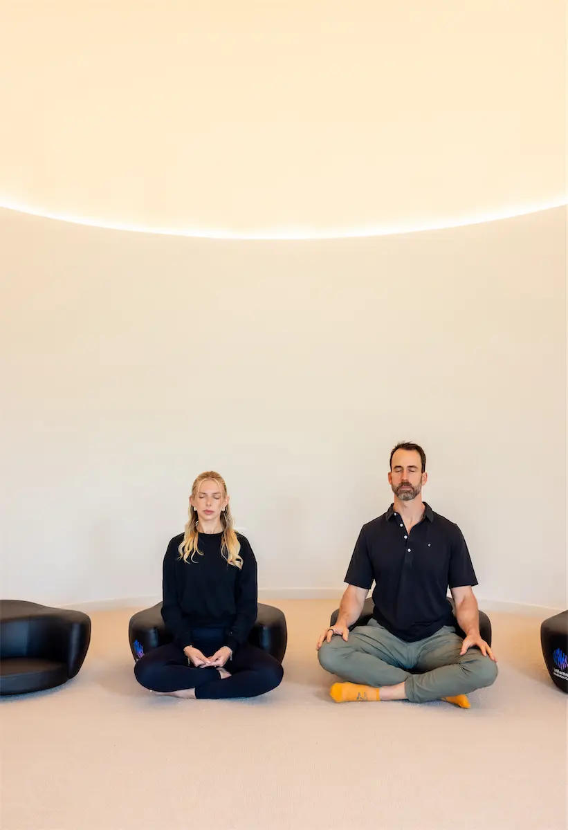 Meditation in the Frequency Dome at Alive and Well