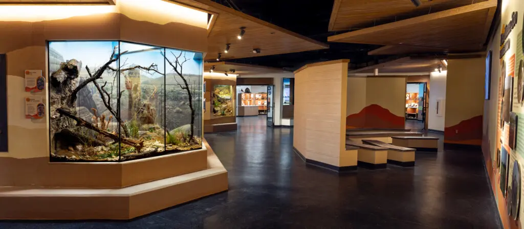 The new indoor space for "Mountains & Desert" is filled with jewel-box glass-fronted habitats.