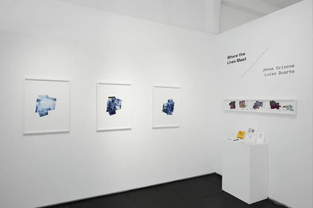 Throughline Collective's "Where the Lines Meet" exhibit (Photo by Jake Eshelman)