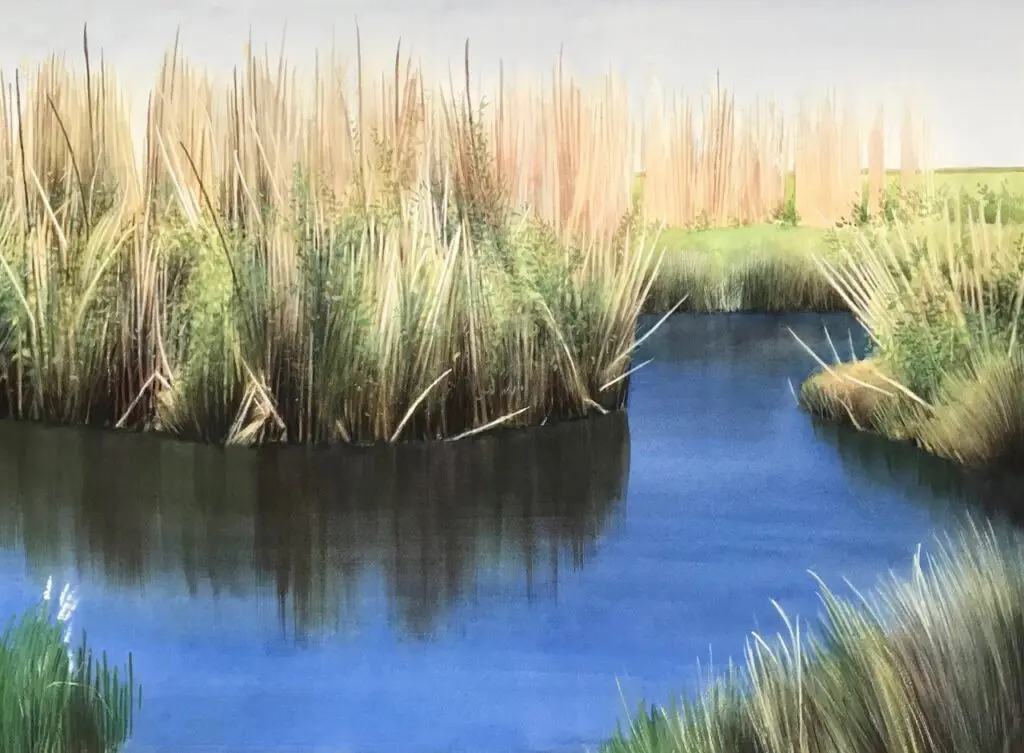 Ken Mazzu’s "Marshland #17," watercolor, 22”x30”, 2024 (Photo courtesy of MFAH)