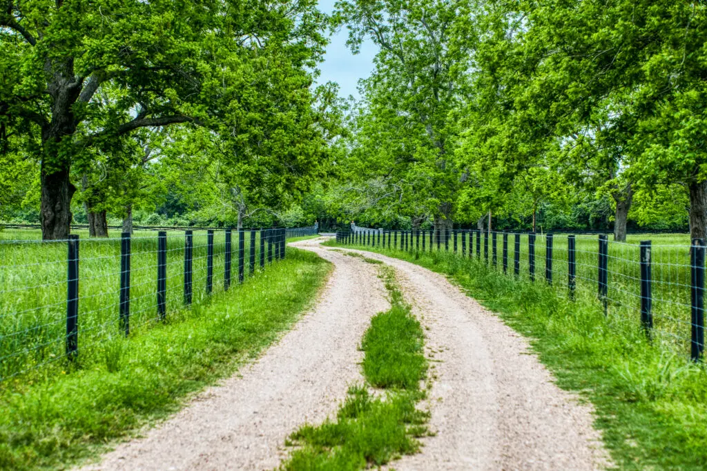 The Able Acres Farm and Ranch home sits amid grand pecan trees and vintage oak trees. (Photo by Jams Pharoan)