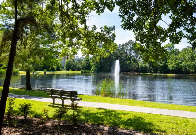 A Land Where Nature Is Treasured — The Woodlands’ Early Start On Sustainability Continues 50 Years Later